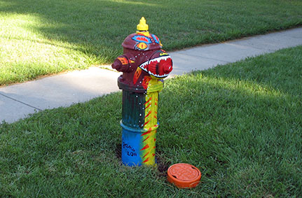 Dragon- Jackson and Ardmore (2)